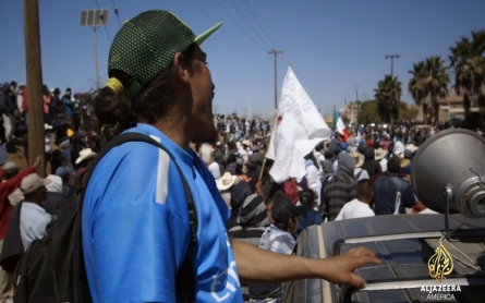 Mexican farmworkers demand higher wages